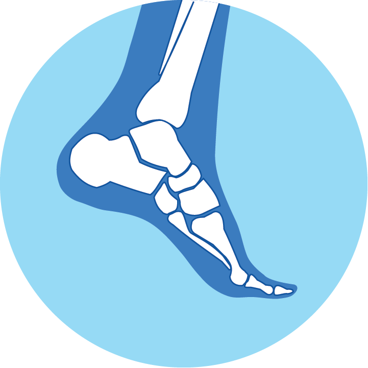 Foot & Ankle
